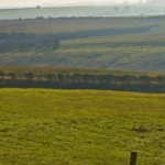 Over 400 Climate Experts Call for Ambitious Climate Policies in UK Election