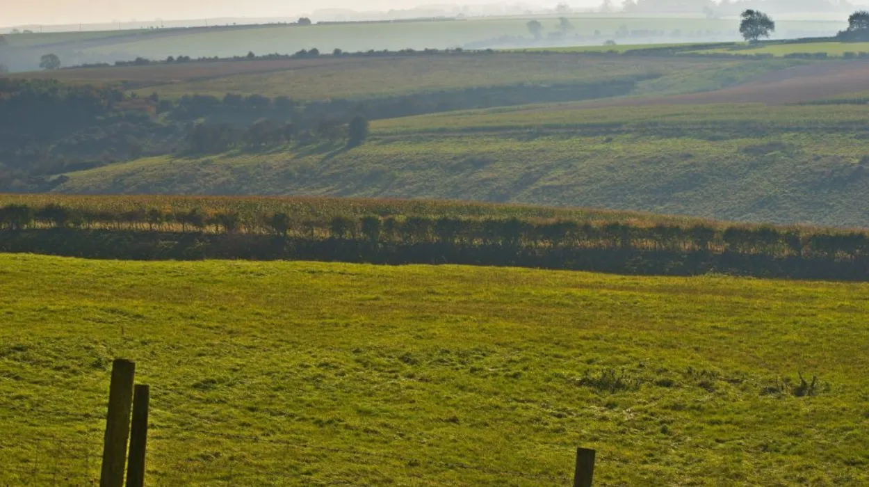 Over 400 Climate Experts Call for Ambitious Climate Policies in UK Election
