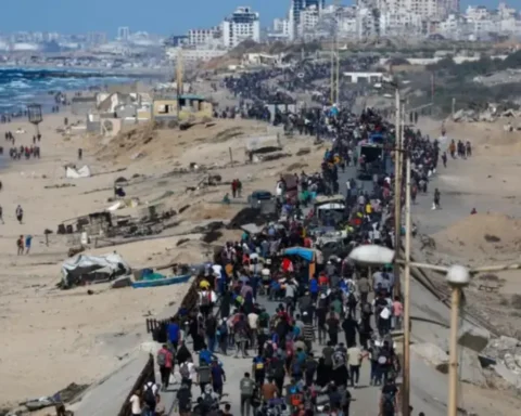 Palestinians move back to Gaza after Israeli withdrawal