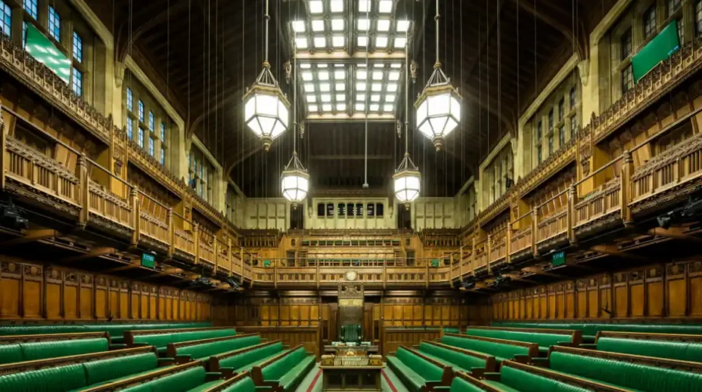 Parliament's Role in Enforcement
