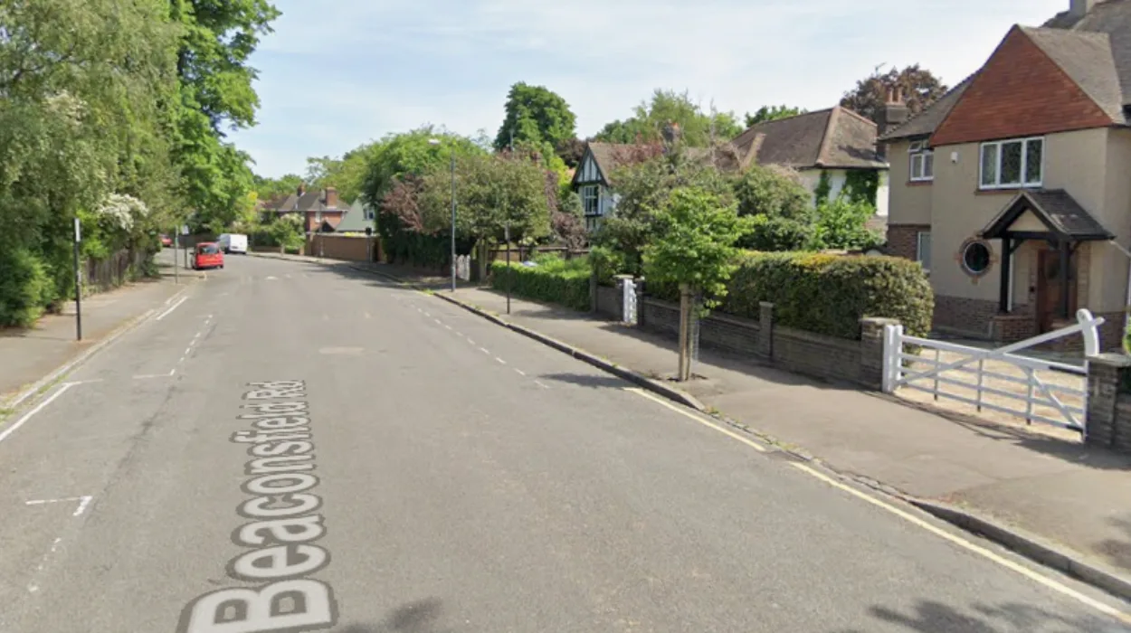 Plans to cut down 15m sycamore in Blackheath revealed