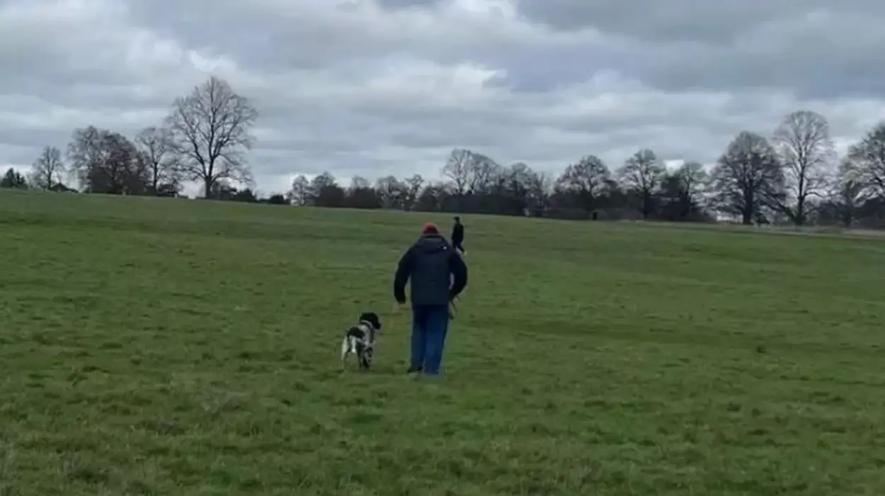 Police hunt dog owner after deer injured in Royal Park attack