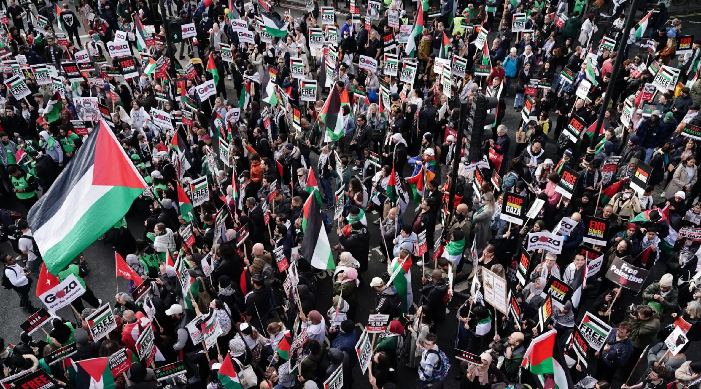 Pro-Palestine protesters rally in rain in central London
