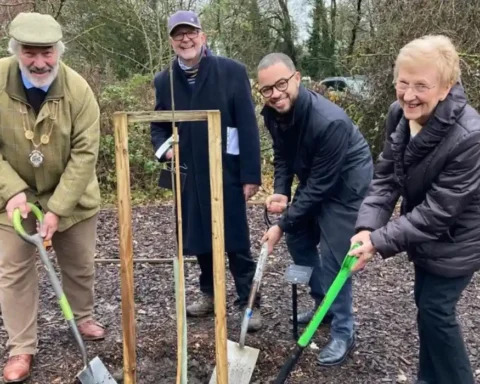 Sapling planted at mine disaster memorial spreads message of hope