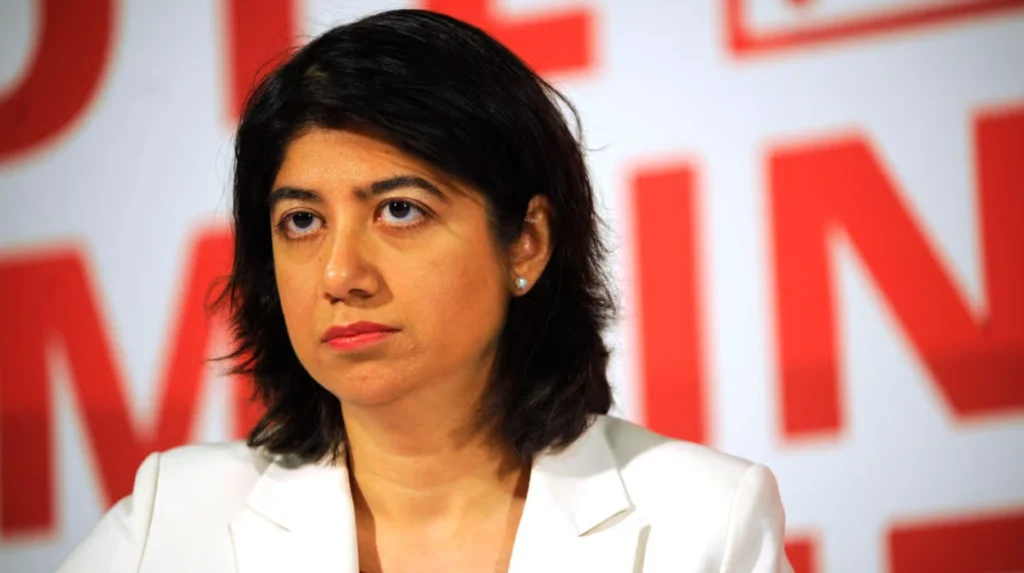 Seema Malhotra calls Reform UK’s immigration plans gimmicks
