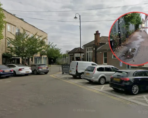 Sewage leak sparks health concerns in Croydon