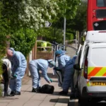 Shocking Incident 13-Year-Old Fatally Wounded in London Sword Assault