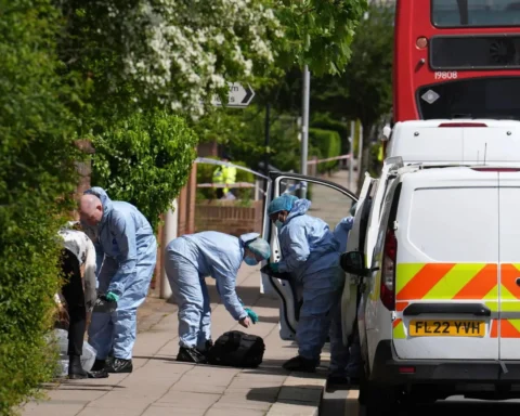Shocking Incident 13-Year-Old Fatally Wounded in London Sword Assault