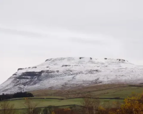 Snow falls across UK as temperatures plunge to zero