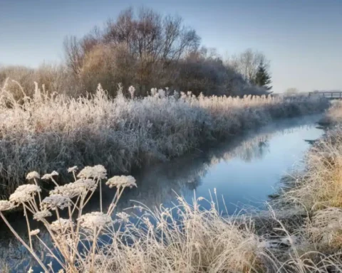 Steve Reed challenges Yorkshire angler's river pollution win
