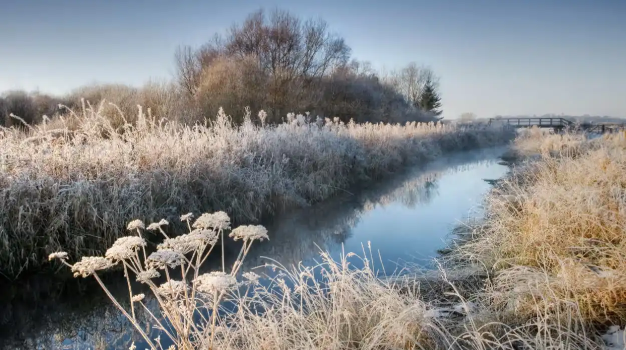 Steve Reed challenges Yorkshire angler's river pollution win