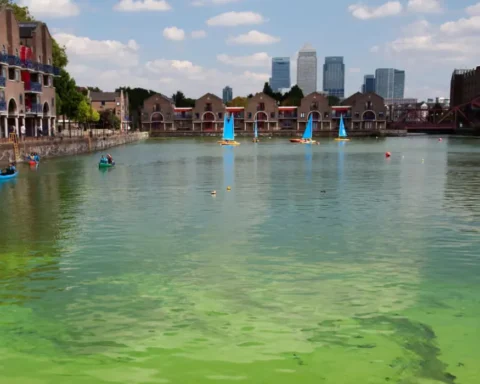 Steve Reed pledged to clean up every polluted river