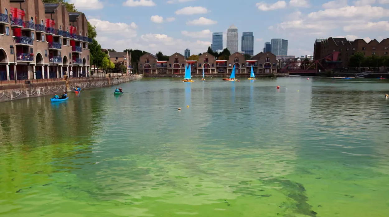 Steve Reed pledged to clean up every polluted river