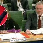 Steve Reed tells MPs to reject Croydon environment measures