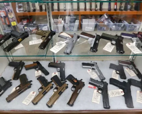Survivors of Gun Violence Launch Initiative Preventing Violent Partners from Owning Firearms