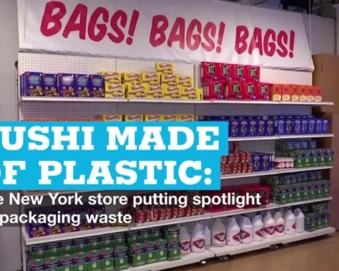 Sushi made of plastic The New York store putting spotlight on packaging waste