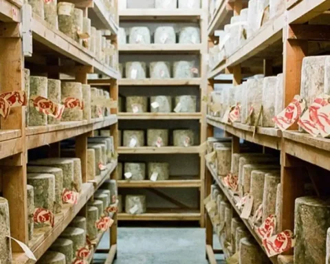 Suspect arrested after £300,000 cheese theft in London