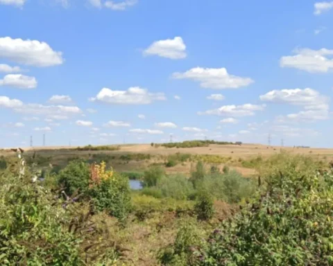 Sutton Council faces legal action over Beddington reserve
