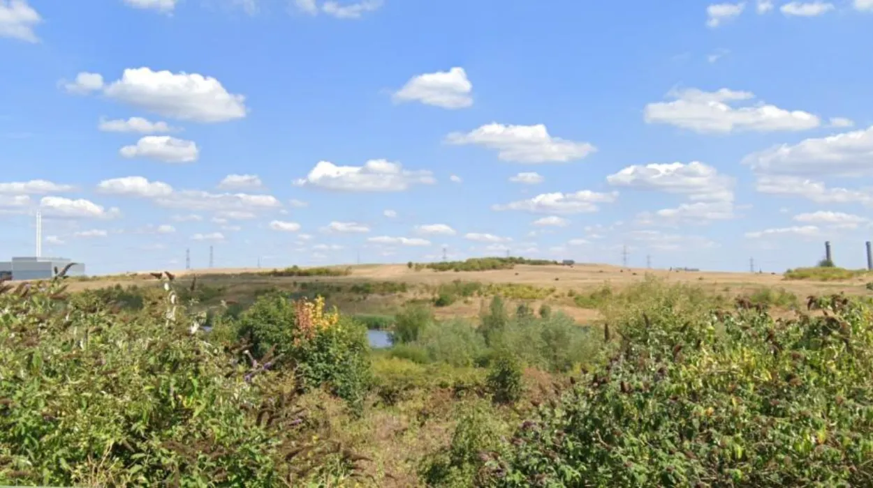 Sutton Council faces legal action over Beddington reserve