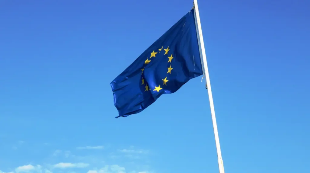 The Role of the European Union