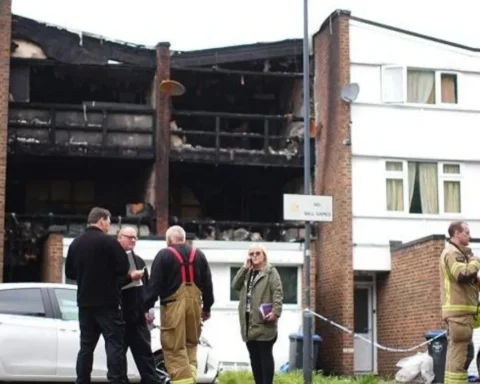 Three boys, woman die in London house fire