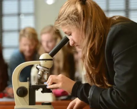 Tribunal orders grammar schools to release 11-plus results