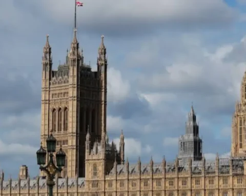 What is a backbencher in the UK parliament?