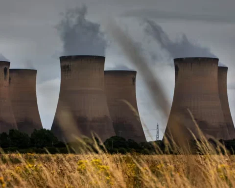 UK can meet energy goals without burning wood, E3G says