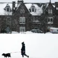 UK faces amber weather warnings as Storm Goretti brings heavy snow