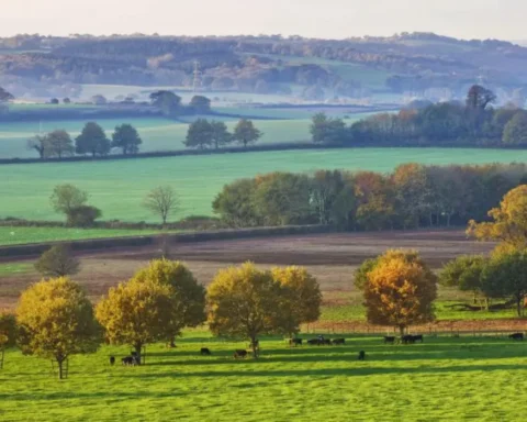 UK nature chiefs slam planning bill’s environmental impact