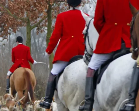 UK to ban trail hunting under new animal welfare plan