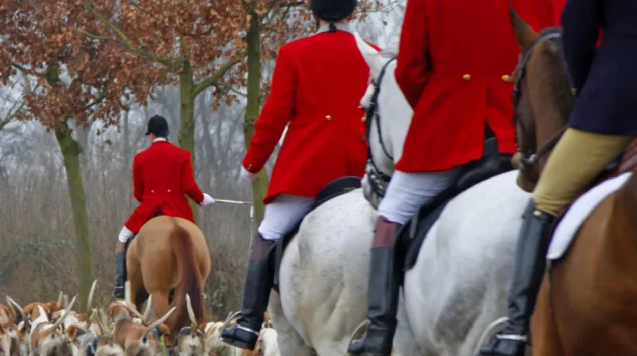 UK to ban trail hunting under new animal welfare plan