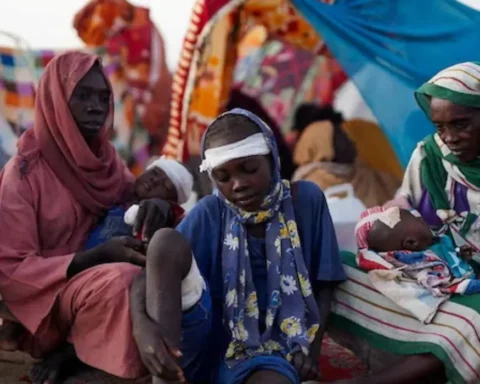 UK urged to stop UAE arms sales