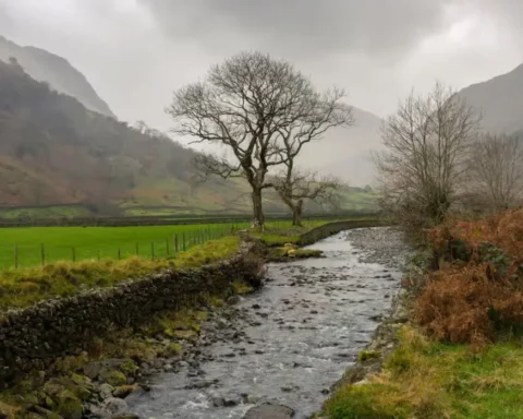 UK water firms fined £11m to fund river cleanup