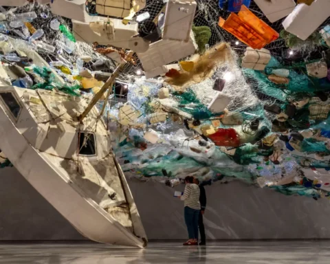 Urgent Appeal for UK Action on Plastic Packaging to Foster Green Economy