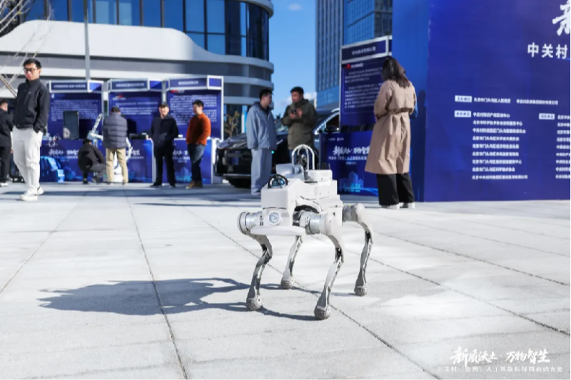 Beijing technology hub supporting ByteDance AI infrastructure development