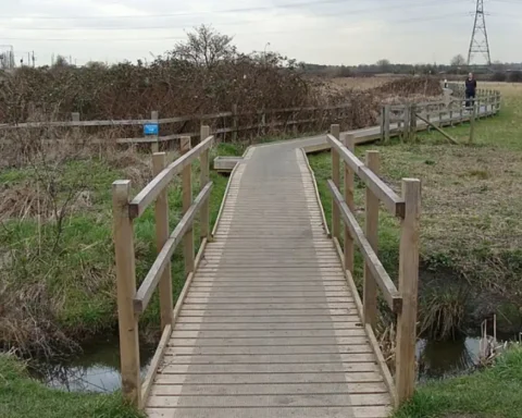 Walthamstow Marshes win green flag award again