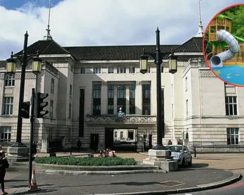 Wandsworth park unveils playground and nature boards