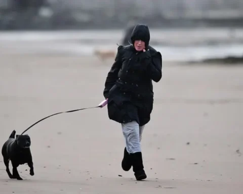 Weather warnings issued as strong winds set to hit parts of the UK