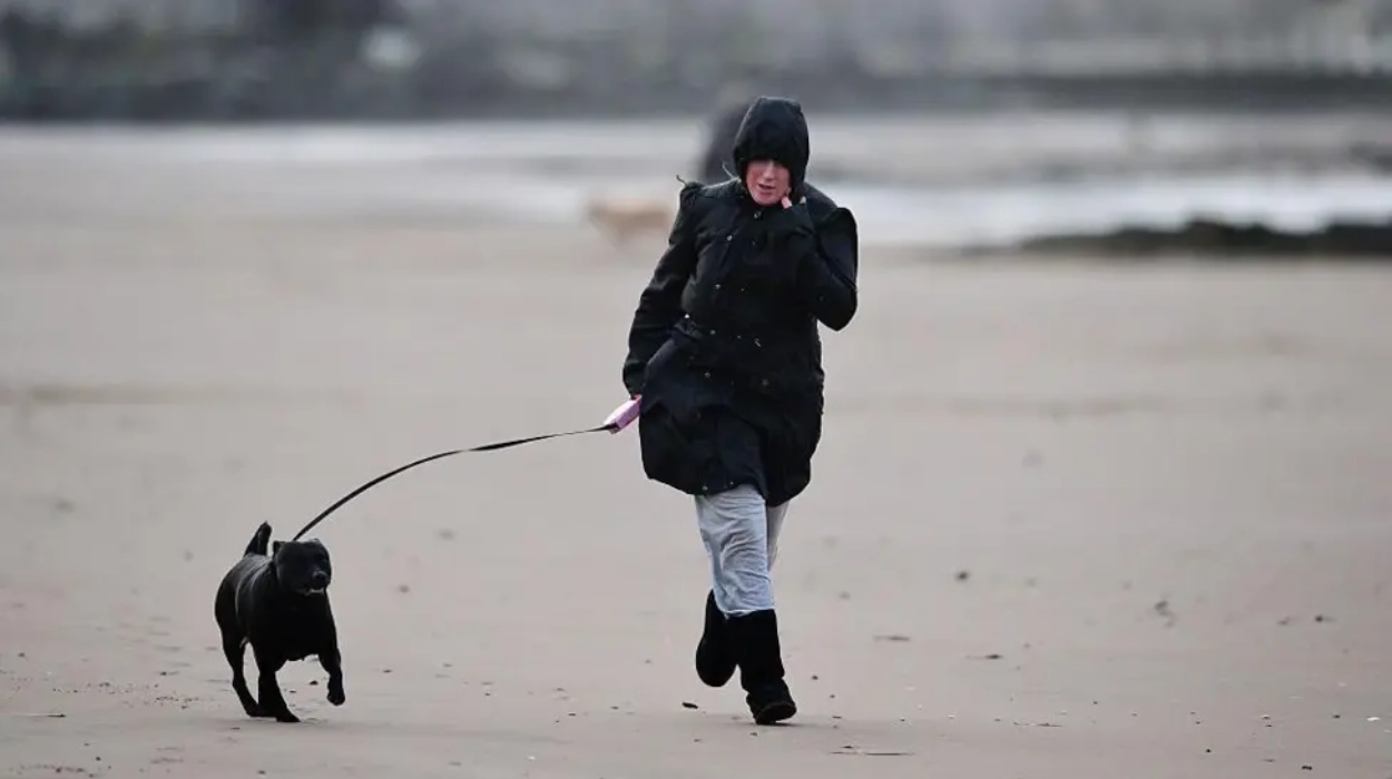 Weather warnings issued as strong winds set to hit parts of the UK
