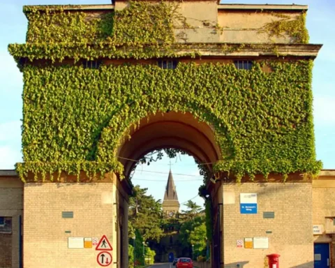 West London NHS Trust in Ealing secures 10th place nationally