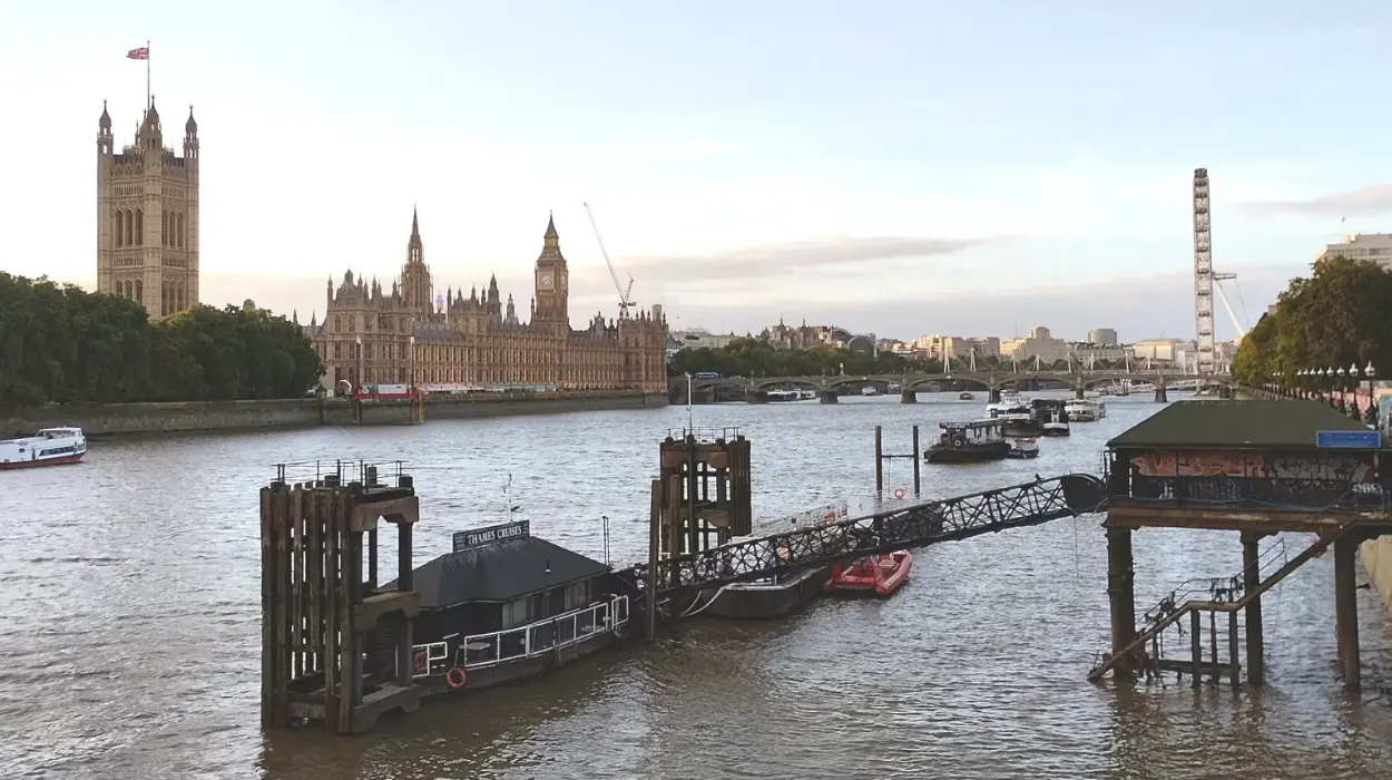 What does the House of Commons do​?