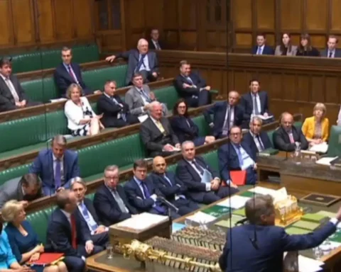 What is the whip in UK politics? Its role and power in Parliament