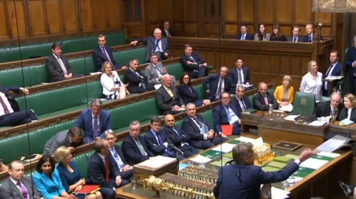 What is the whip in UK politics? Its role and power in Parliament