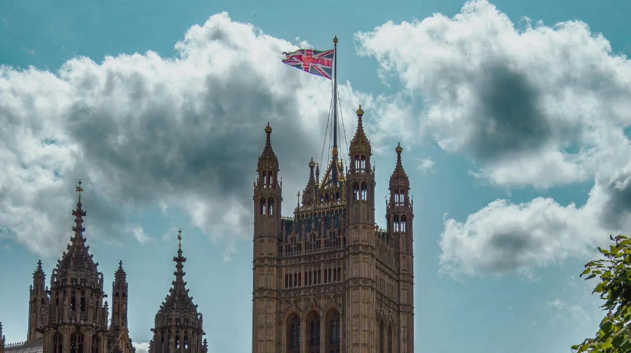 What is the whip in UK politics Role and power in Parliament