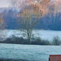 White Christmas unlikely as UK issues cold health alert