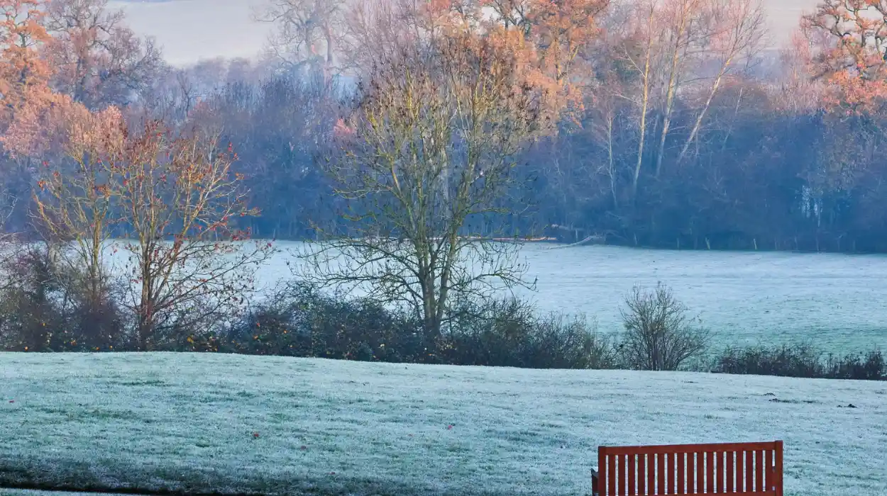 White Christmas unlikely as UK issues cold health alert
