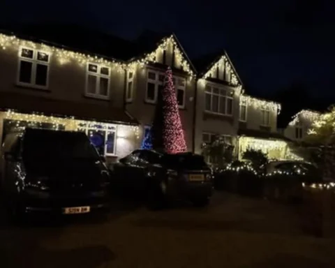 Whitmore Lights Festive fun day set to shine in West Harrow