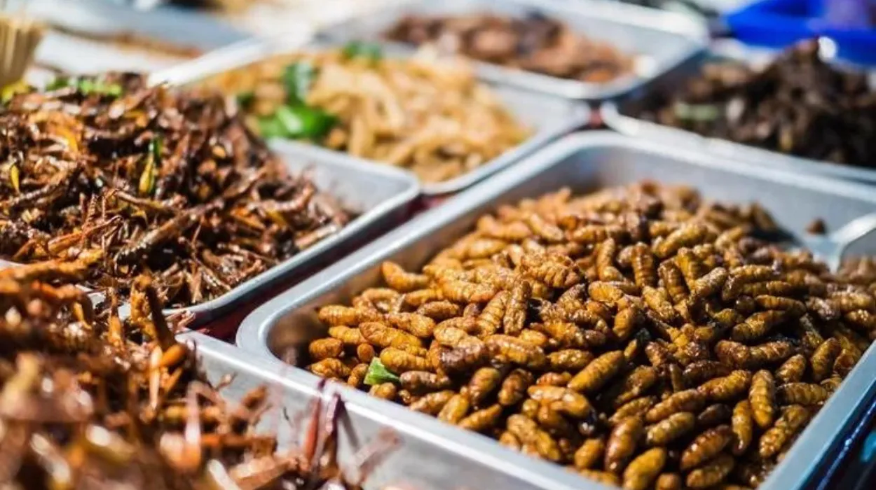 Why Eating Insects Could Transform Global Diets Exploring Entomophagy