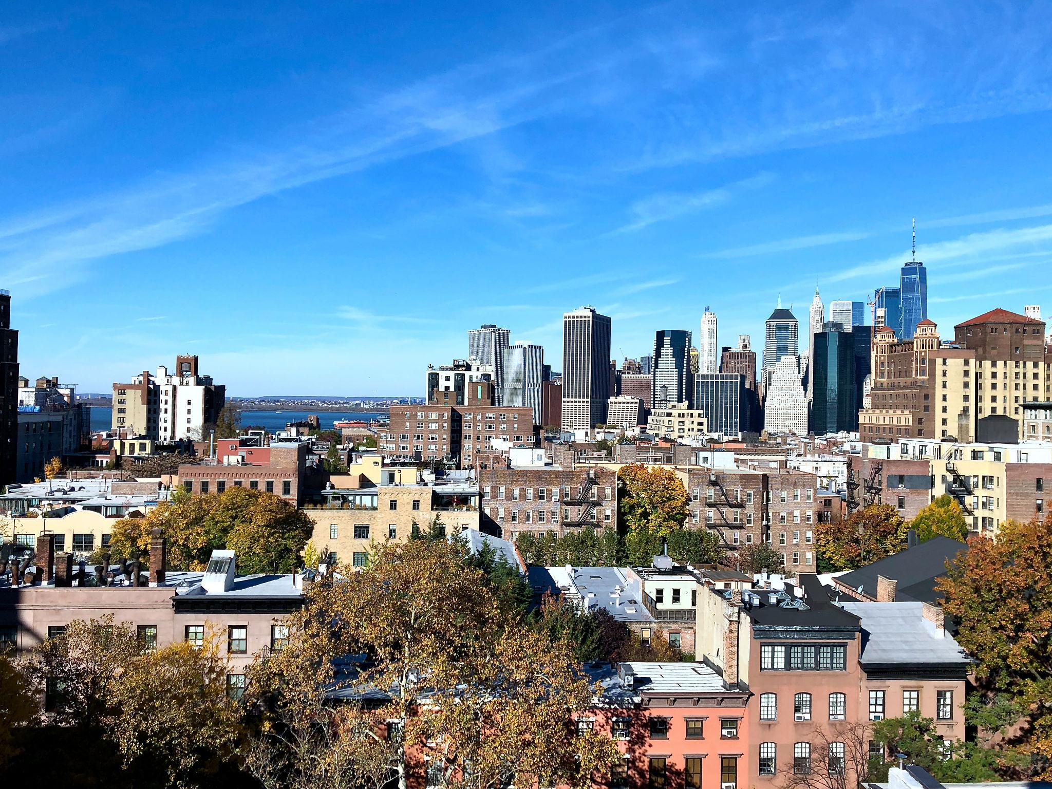 Specialty Insurance Market Enters a New Era of Risk, Capital Shifts and Cyber Pressure New York 2026 2 Cyber risk protection trends shaping the specialty insurance market in 2026